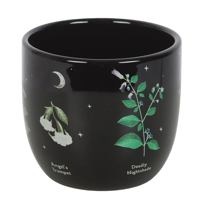 Poisonous Plants Plant Pot